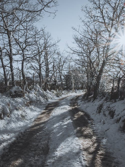 有关冬季, 垂直拍摄, 大雪覆盖的免费素材图片