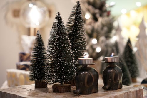 有关特写, 圣诞树, 茶色的免费素材图片