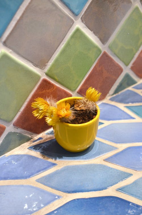 黄色的向日葵，在黄色的陶瓷锅 · 免费素材图片