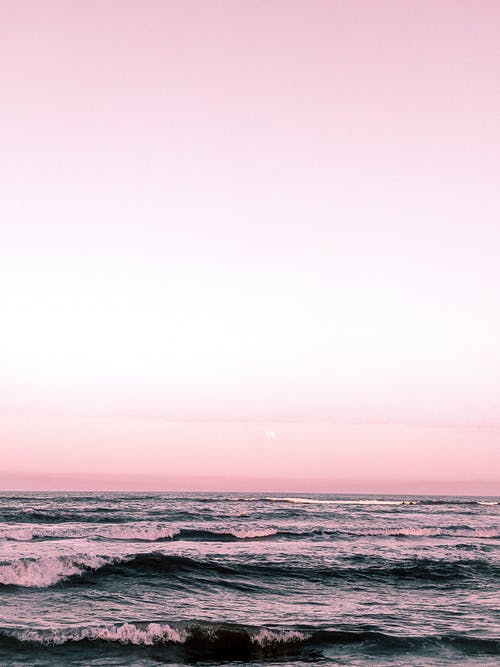 有关垂直拍摄, 天性, 天空的免费素材图片