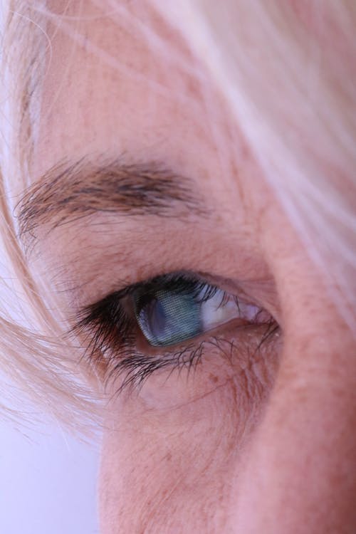 有关垂直拍摄, 小学生, 特写的免费素材图片