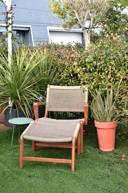 绿色植物旁边的棕色木制扶手椅 · 免费素材图片
