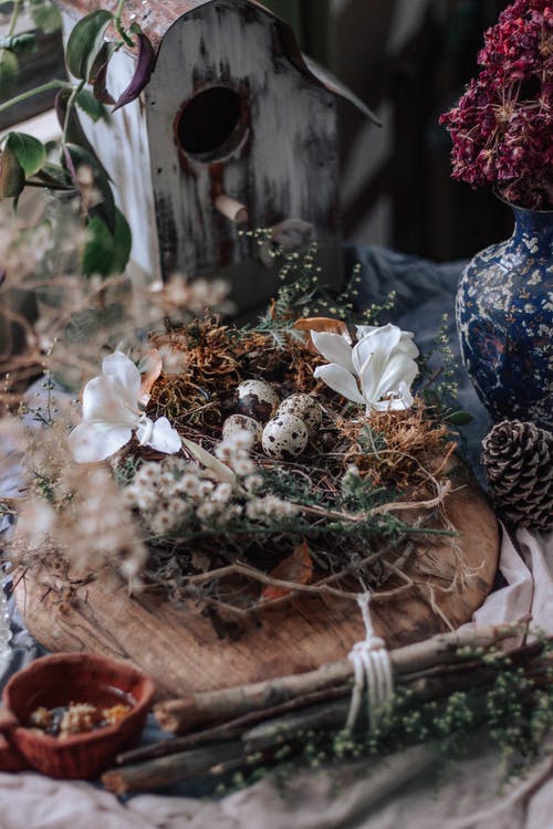 有关一串, 不一样, 元素的免费素材图片