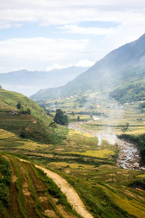 有关农业用地, 垂直拍摄, 小河的免费素材图片