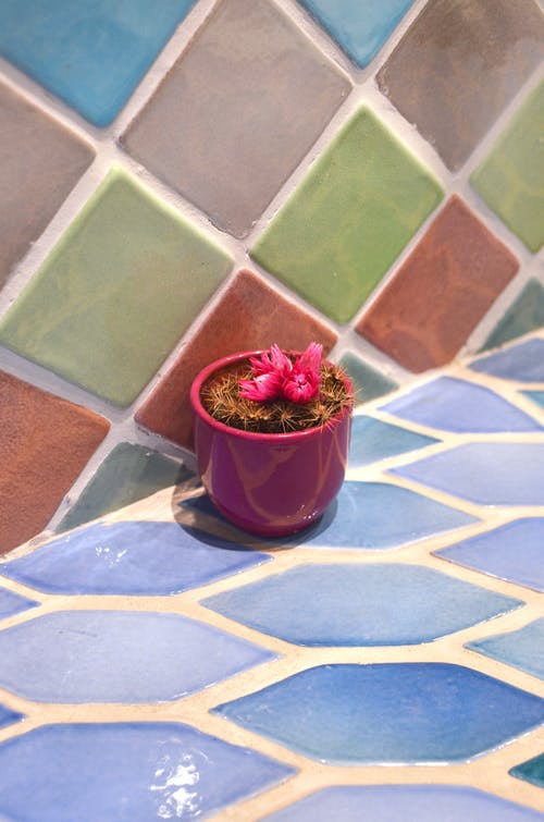 红锅红花 · 免费素材图片