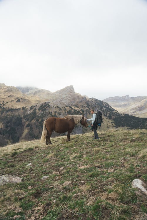 有关一起, 人, 休闲的免费素材图片