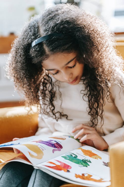 坐在椅子上的白色长袖衬衫的女孩 · 免费素材图片