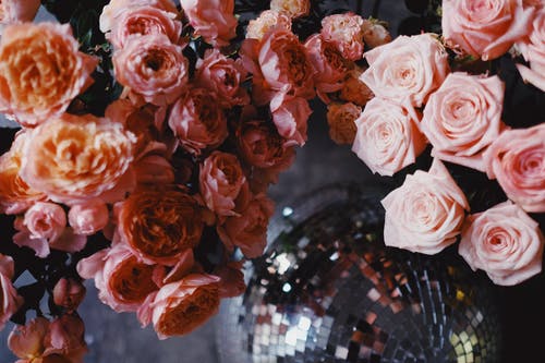 有关婚礼, 插花, 玫瑰的免费素材图片