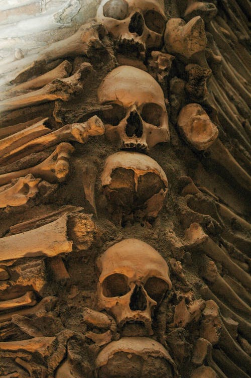 有关人体骨骼, 人类头骨, 人类遗骸的免费素材图片
