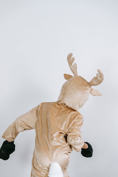 棕色外套与白兔子毛绒玩具的人 · 免费素材图片