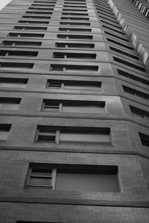 有关低角度拍摄, 单色, 垂直拍摄的免费素材图片