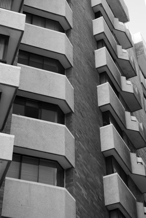 有关低角度拍摄, 单色, 垂直拍摄的免费素材图片