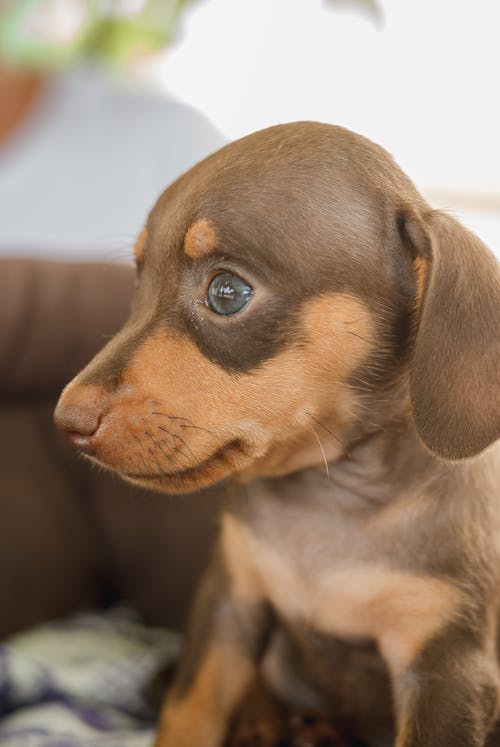 有关休息, 伴侣, 公寓的免费素材图片