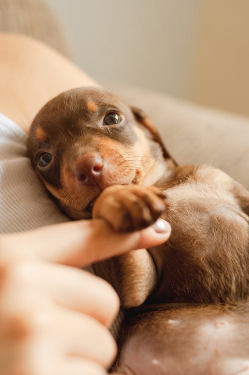 有关一起, 休息, 休閒的免费素材图片