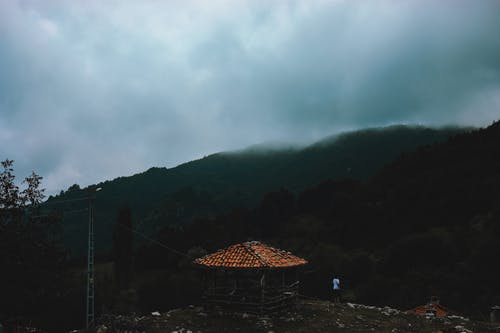 有关享受, 人, 休息的免费素材图片