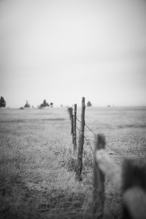 有关单色, 垂直拍摄, 户外的免费素材图片