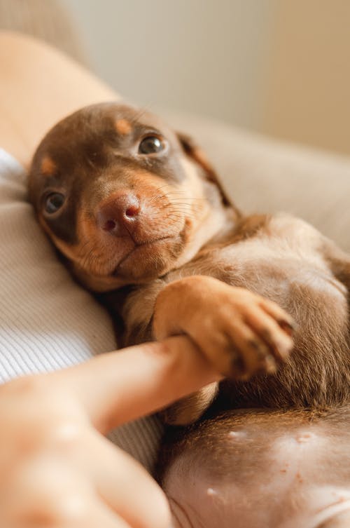 有关一起, 伴侣, 公寓的免费素材图片