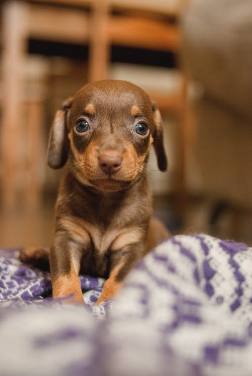 有关休息, 伴侣, 公寓的免费素材图片