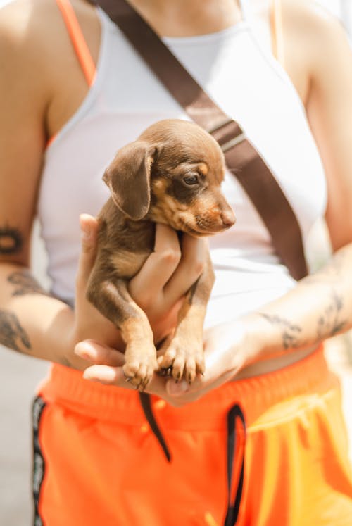 有关一起, 不露面, 个性的免费素材图片