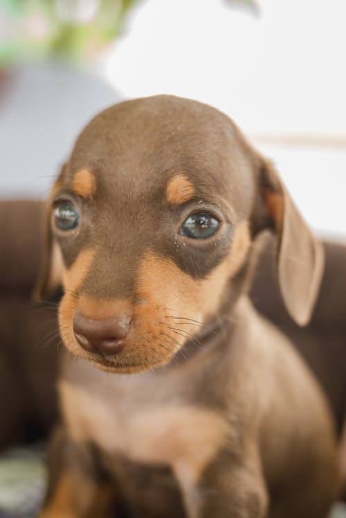 有关伴侣, 公寓, 冷静的免费素材图片