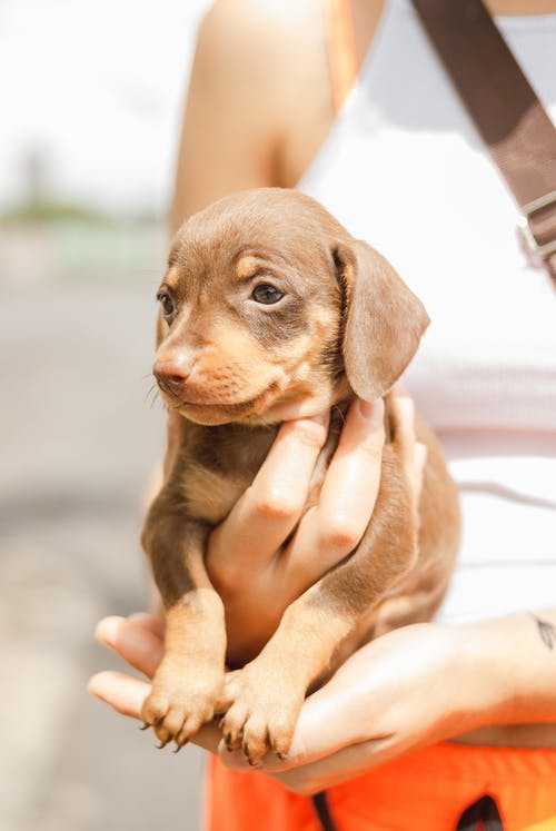 有关一起, 休闲, 伴侣的免费素材图片