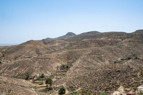 有关乾旱, 乾的, 夏天的免费素材图片