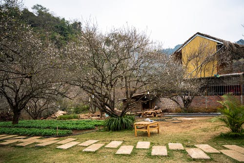 有关不动产, 人行道, 住的免费素材图片