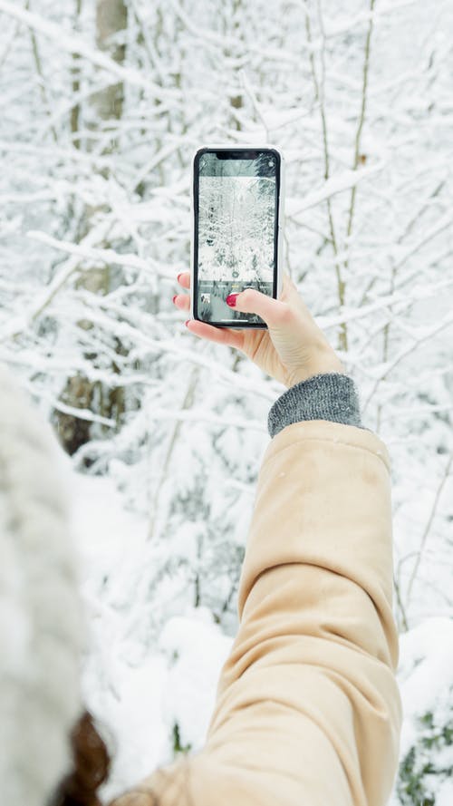 有关下雪的, 冬季, 冷冰的的免费素材图片