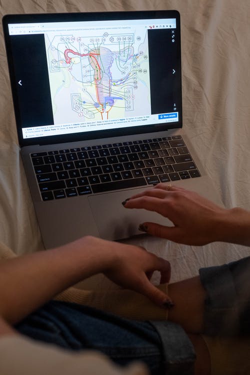 有关互联网, 图片, 女人的免费素材图片