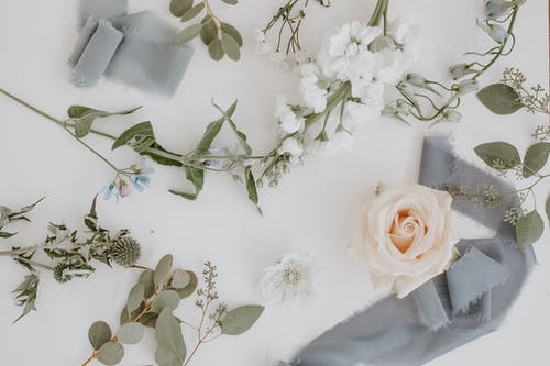 白纺织品上的白玫瑰 · 免费素材图片
