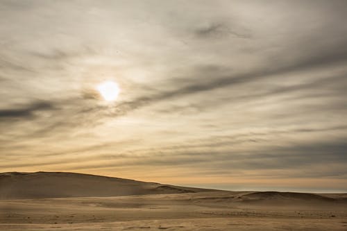 有关乾旱, 乾的, 冷静的免费素材图片