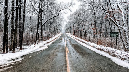 有关下雪的天气, 光秃秃的树木, 冬季的免费素材图片