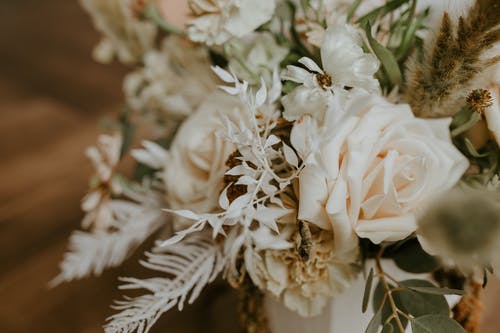 移轴镜头中的白花 · 免费素材图片