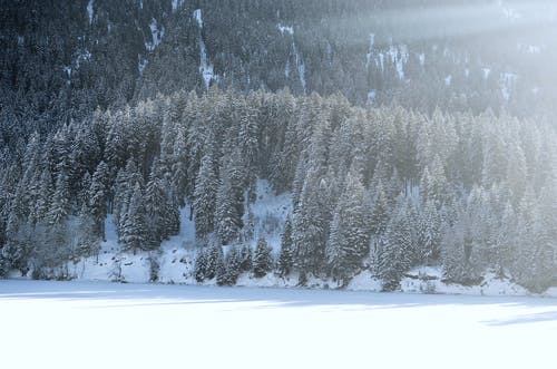 有关下雪的天气, 冬季, 冬季景观的免费素材图片