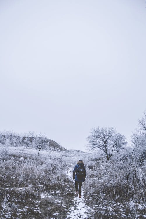 有关不露面, 人, 人行道的免费素材图片