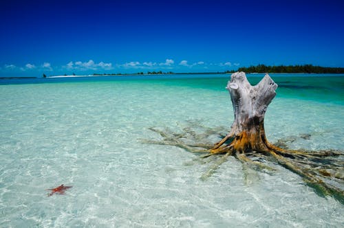 有关冷静, 土耳其蓝, 天堂的免费素材图片