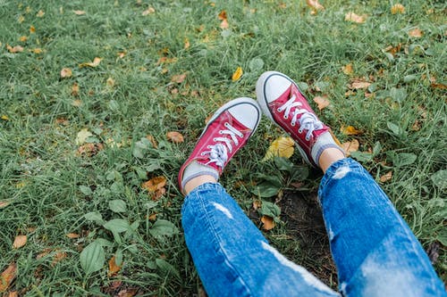 有关不露面, 休闲, 公园的免费素材图片