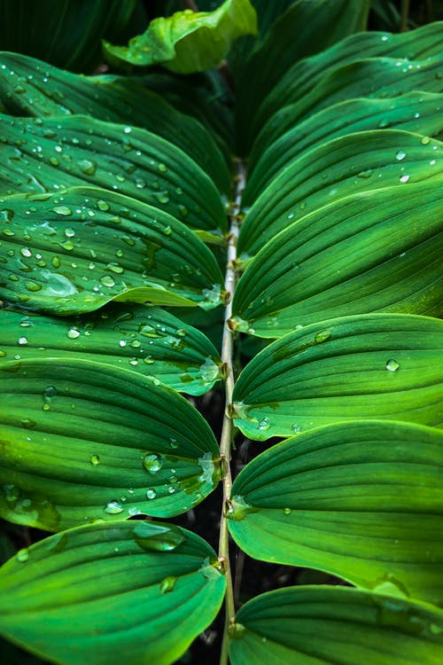 有关图案, 增长, 工厂的免费素材图片