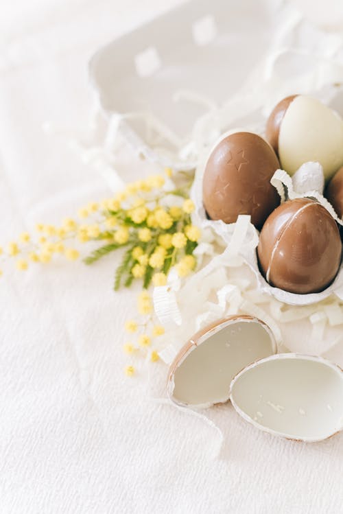 有关假日, 传统, 含羞草花的免费素材图片