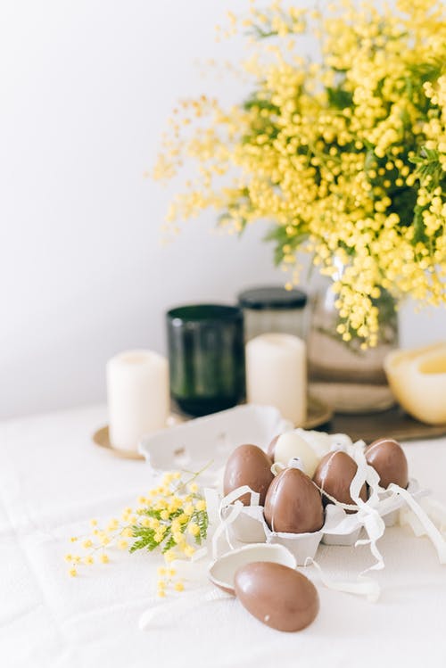 有关假日, 优雅, 含羞草花的免费素材图片
