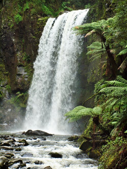 有关垂直拍摄, 天性, 户外的免费素材图片