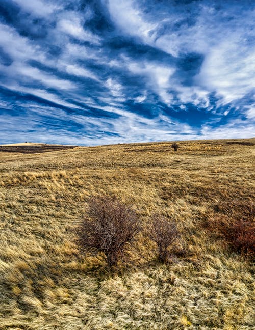 有关垂直拍摄, 天性, 天空的免费素材图片