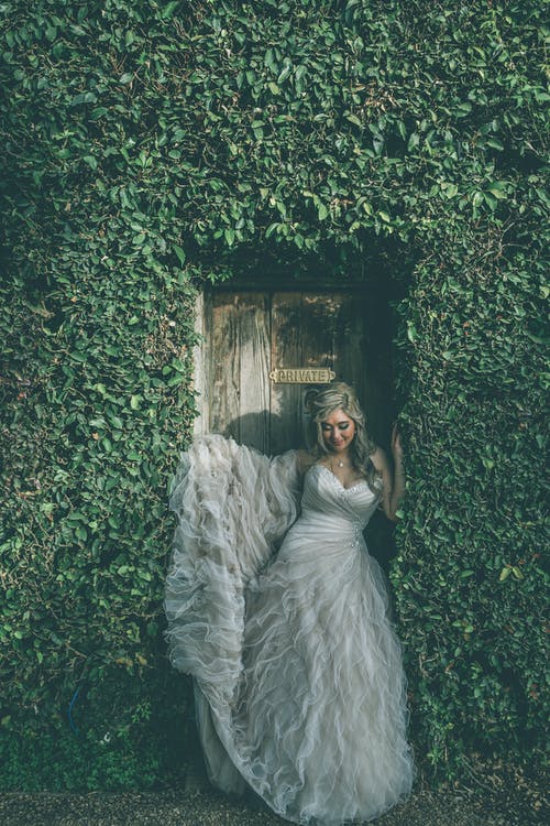 有关事件, 传统, 优雅的免费素材图片