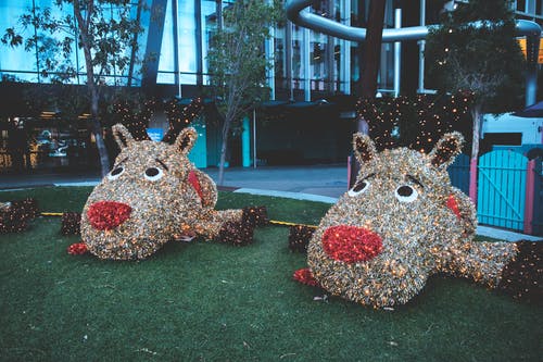 有关事件, 人物, 仙女的免费素材图片