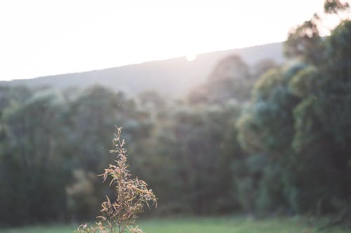 有关乾的, 冷静, 和平的的免费素材图片