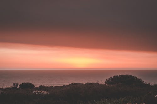 有关冷静, 华丽的, 和平的免费素材图片