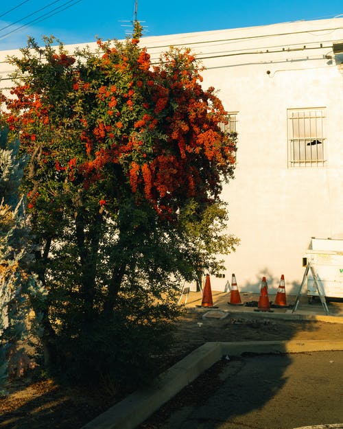 有关不动产, 低层, 住的免费素材图片