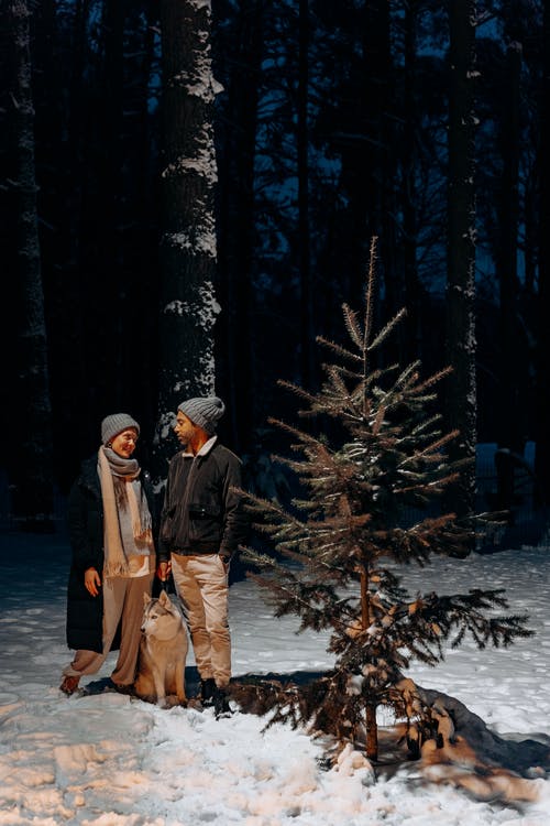 有关（顶部有小羊毛球的）羊毛帽子, @户外, 一对的免费素材图片