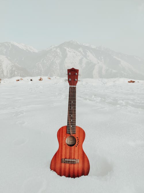 有关仪器, 冬季, 冷的免费素材图片