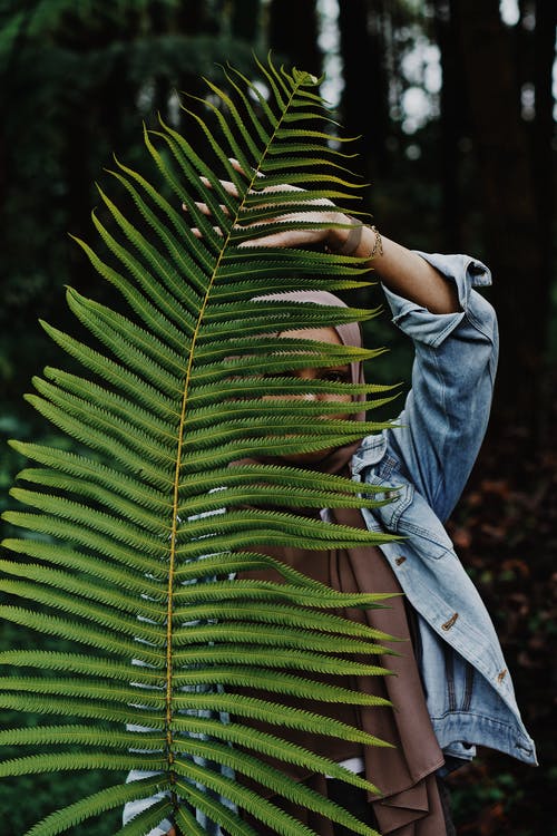 有关垂直拍摄, 大葉子, 女人的免费素材图片